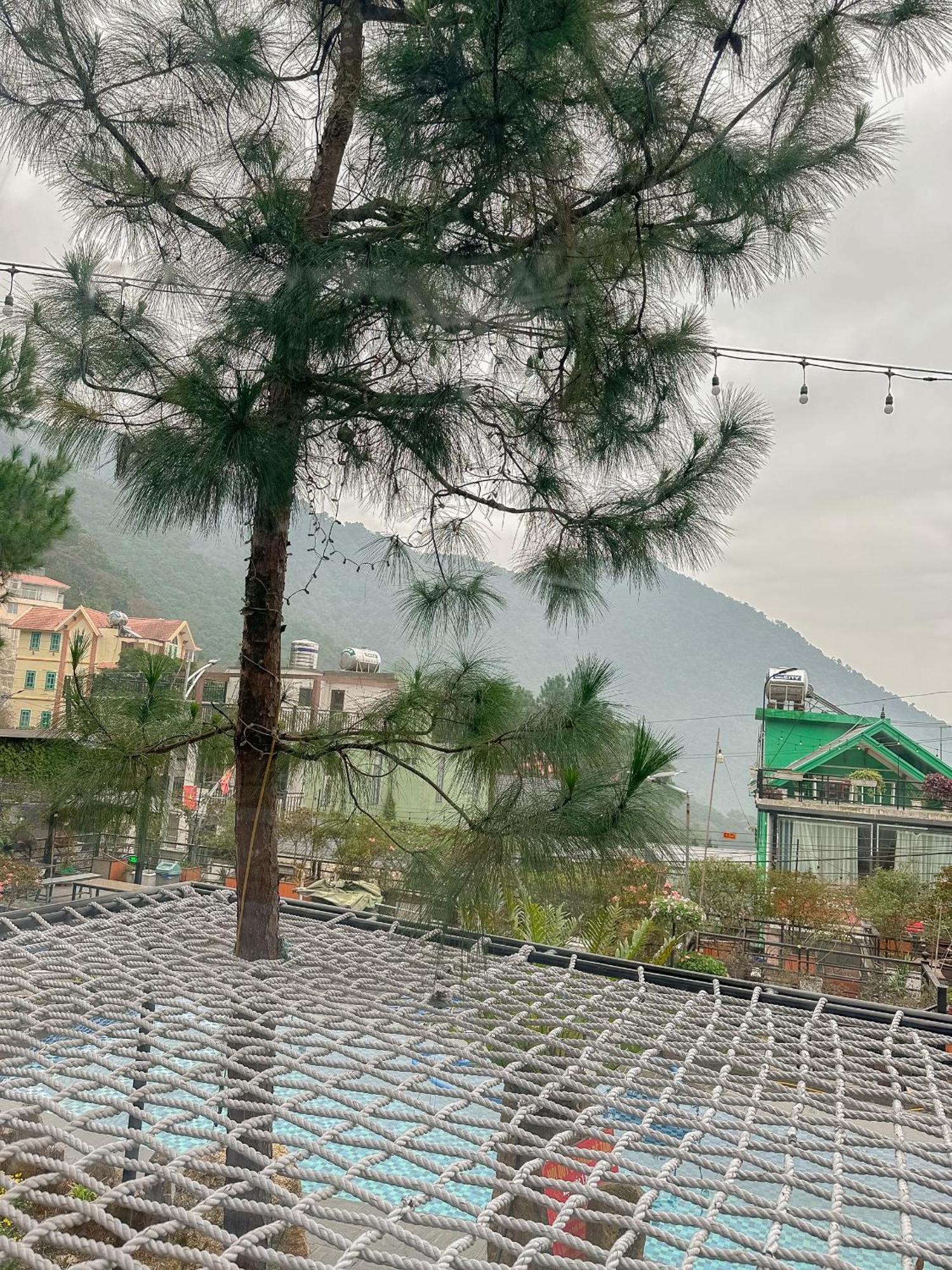 Ở trọ Bach Xanh House Venuestay